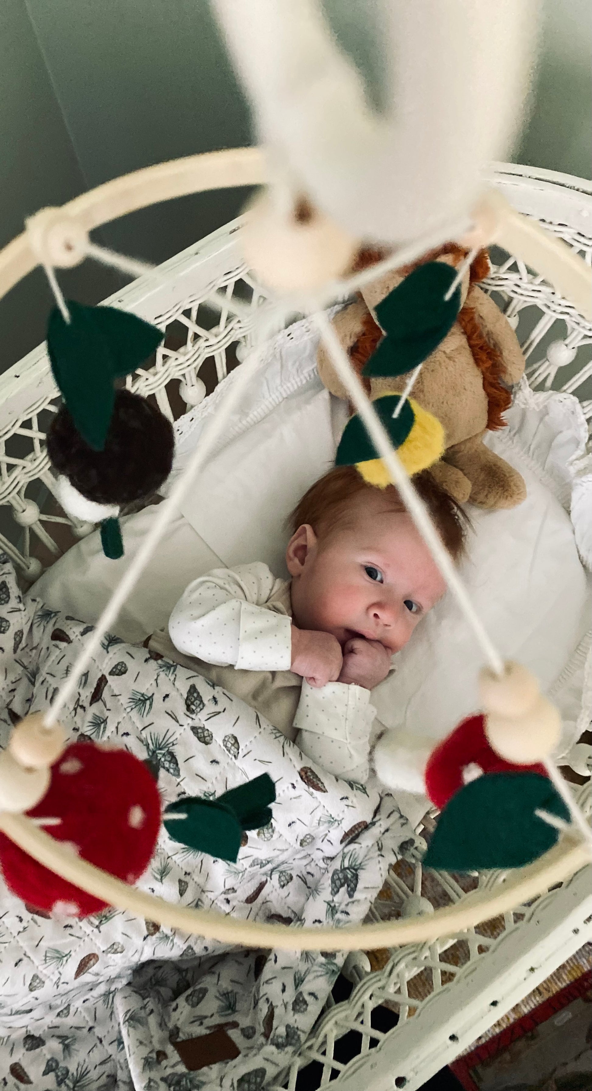 Handgjort babyhänge med svampar – ekologisk och dekorativ mobil till spjälsäng. Present åt nyfödd bebis eller present till föräldrar